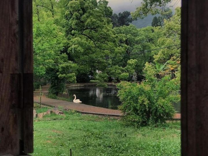 Guest House Ahan ガグラ エクステリア 写真