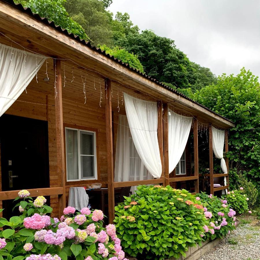 Guest House Ahan ガグラ エクステリア 写真