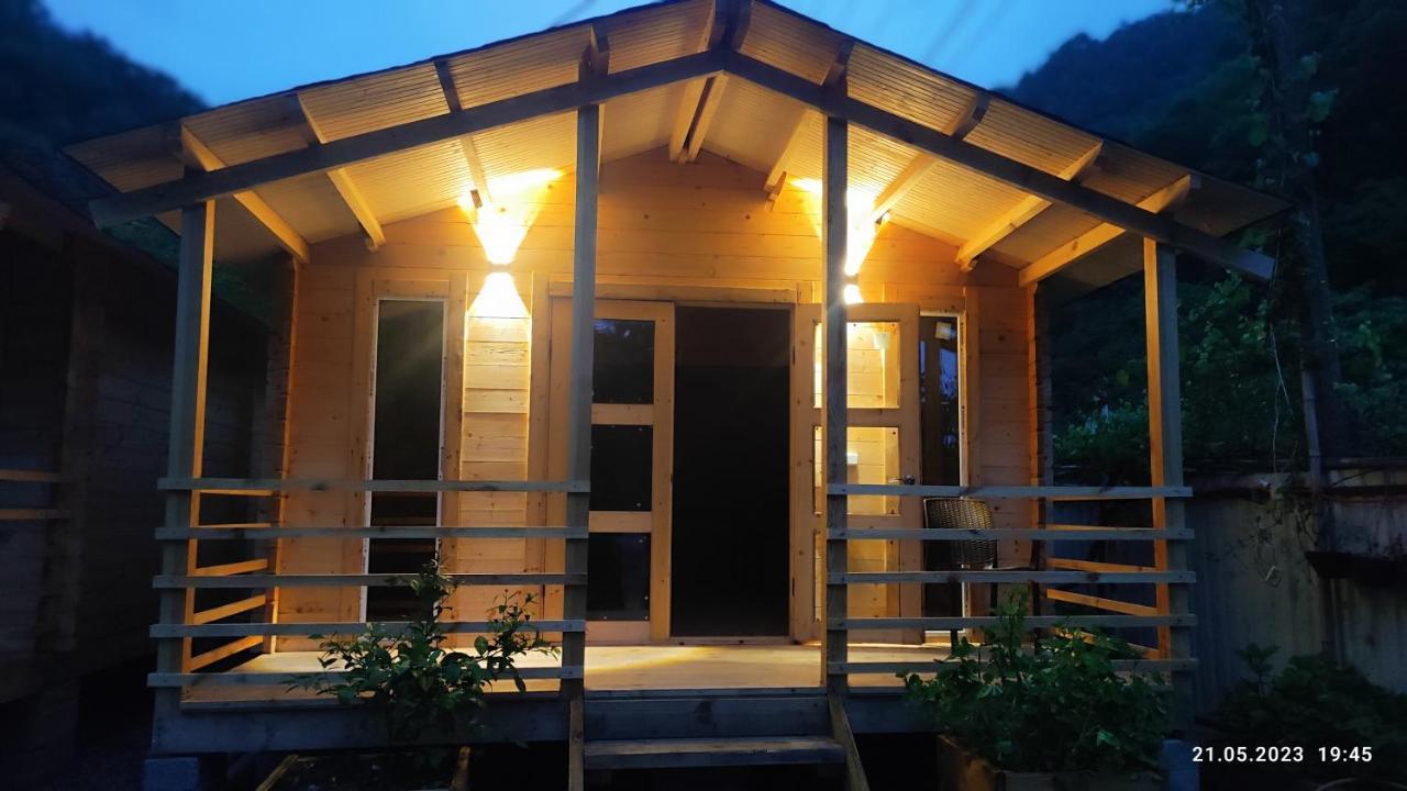 Guest House Ahan ガグラ エクステリア 写真