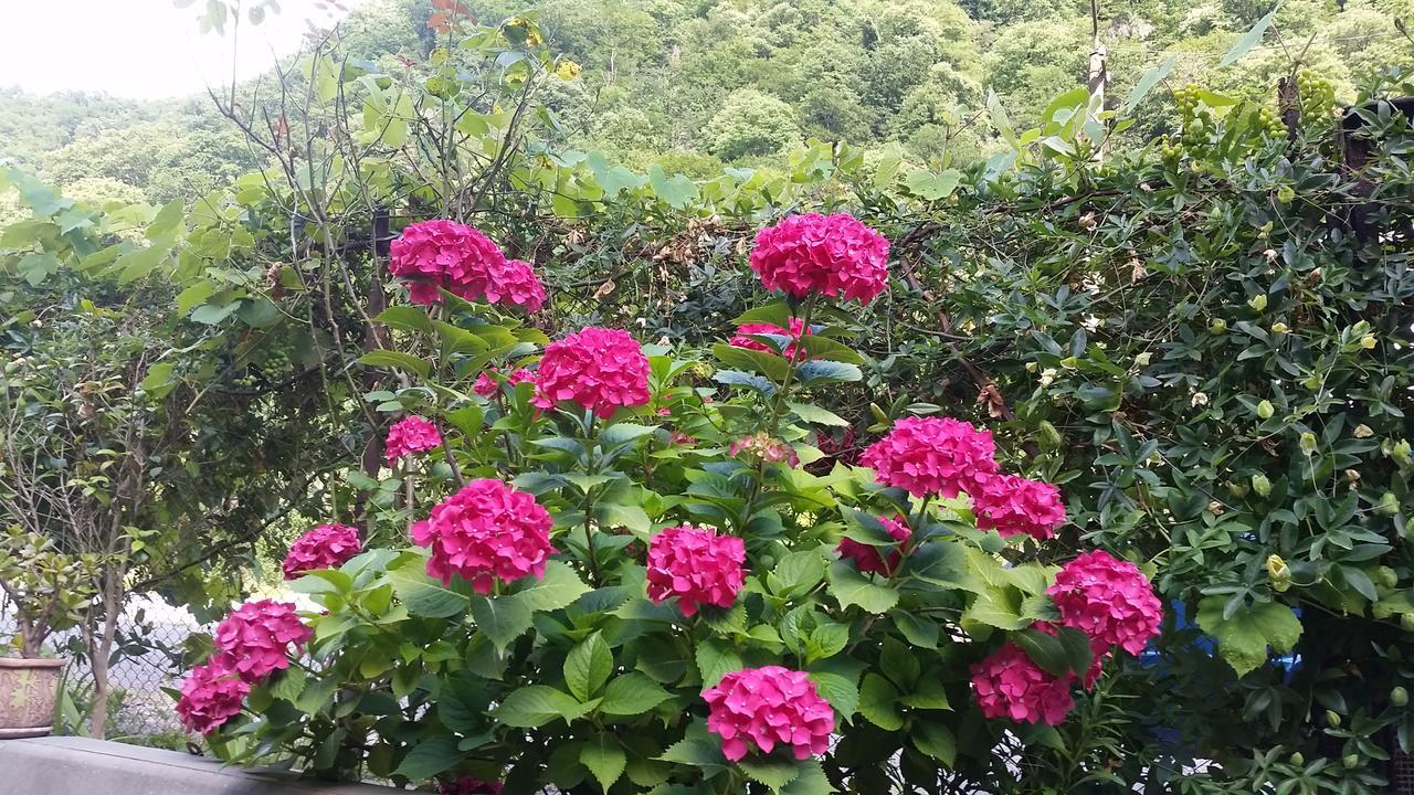 Guest House Ahan ガグラ エクステリア 写真